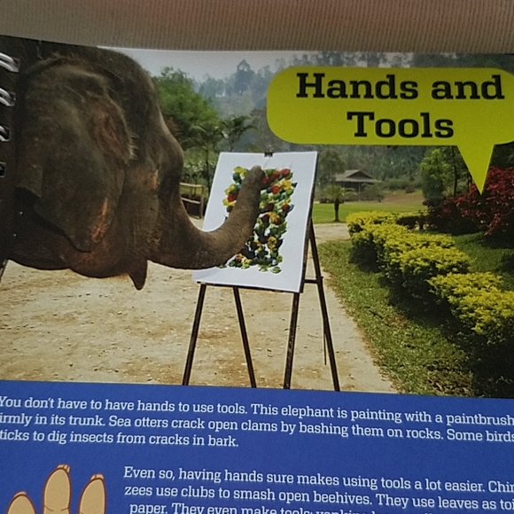 The Hand Book- 100% KLUTZ Certified - Picture 5 of 16